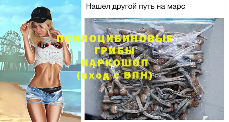 Галлюциногенные грибы Psilocybe Белоозёрский